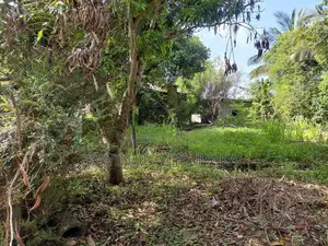 දෙහිඅත්තකණ්ඩිය පර්චස් 15 ක ඉඩමක් විකිණීමට .