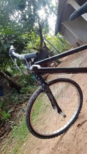 Shimano Bicycle