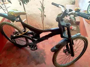 Mountain Bicycle