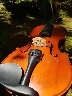 Violin