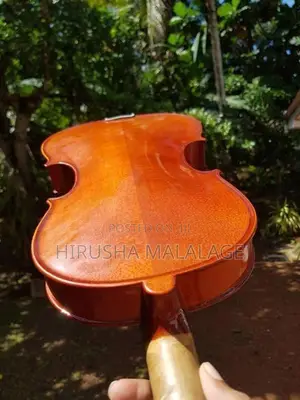 Violin
