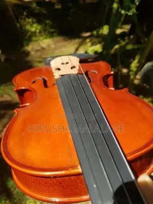 Violin