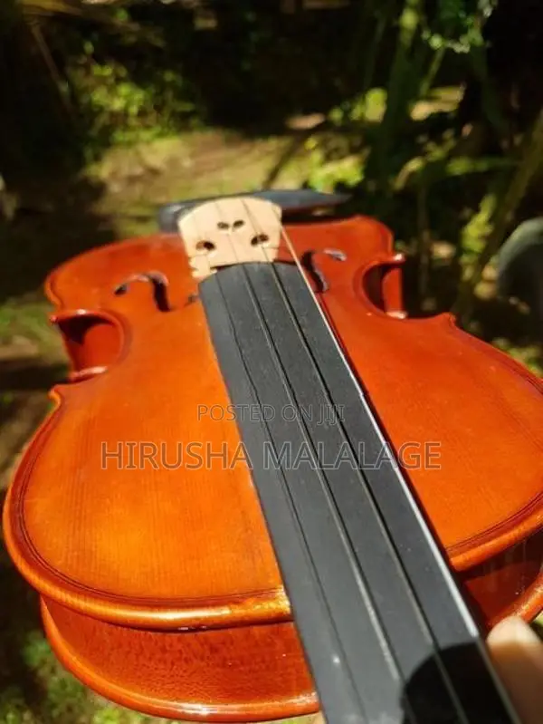 Violin
