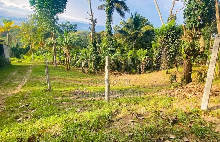 බලංගොඩ නගරයට 4km දුරින්, නිස්කලංක පරිසරයක පිහිටි සුපිරි බිම් කොටස්
