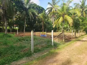 15 Perch Land for Sale - Veyangoda