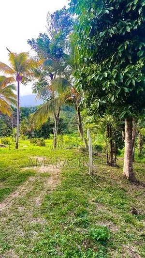 බලංගොඩ නගරයට 4km දුරින්, නිස්කලංක පරිසරයක පිහිටි සුපිරි බිම් කොටස්