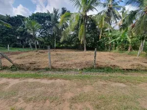 15 Perch Land for Sale - Veyangoda