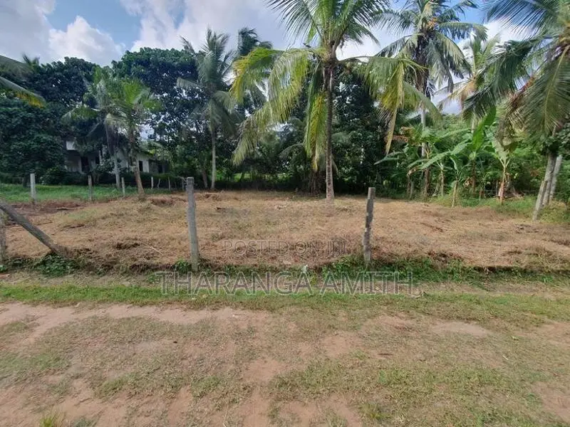 15 Perch Land for Sale - Veyangoda