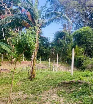 බලංගොඩ නගරයට 4km දුරින්, නිස්කලංක පරිසරයක පිහිටි සුපිරි බිම් කොටස්