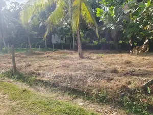 15 Perch Land for Sale - Veyangoda