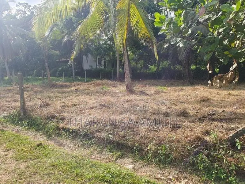 15 Perch Land for Sale - Veyangoda