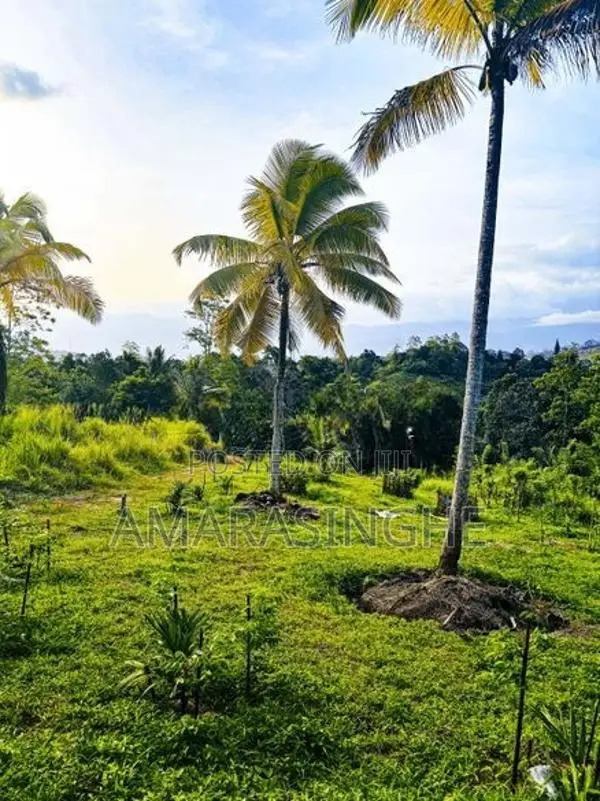 බලංගොඩ නගරයට 4km දුරින්, නිස්කලංක පරිසරයක පිහිටි සුපිරි බිම් කොටස්