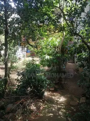 Residential Land with House Sale Kandy