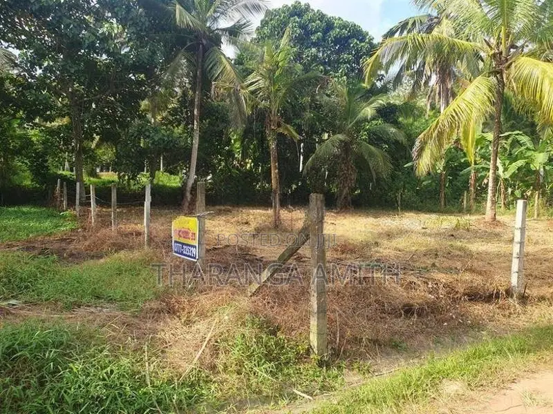 15 Perch Land for Sale - Veyangoda