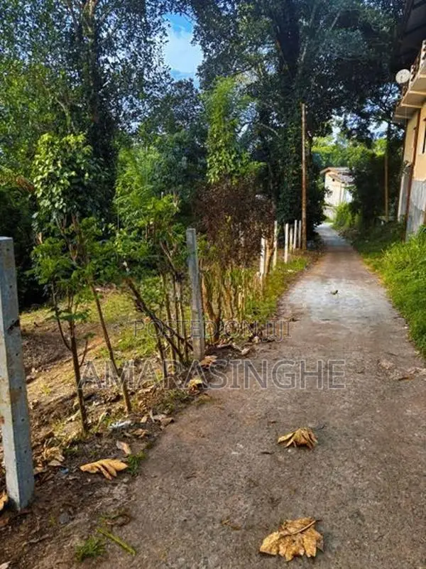 බලංගොඩ නගරයට 4km දුරින්, නිස්කලංක පරිසරයක පිහිටි සුපිරි බිම් කොටස්
