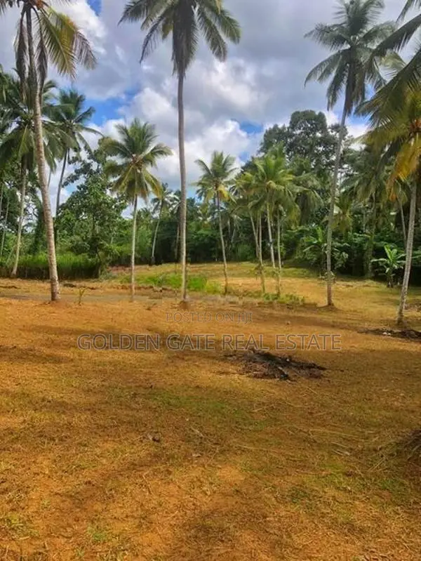 Mirigama කොටදෙනියාව පාරෙන් ඉඩමක්