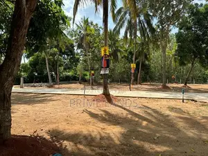 අනුරාධපුර සාලියමාවතෙන් සින්නක්කර බිම්කොටස් විකිණීමට