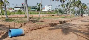 පැල්ලැන්දෙනියෙන් පදිංචියට ඉඩමක්