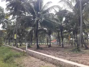 පදිංචියට ඉඩමක් අඹගස්වැව
