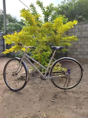 බයිසිකලය