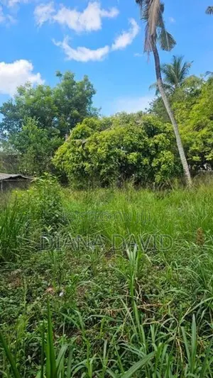 Prime Land for Sale Dehiwala