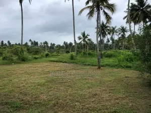 නාරම්මල නේවාසික බිම් කොටස්