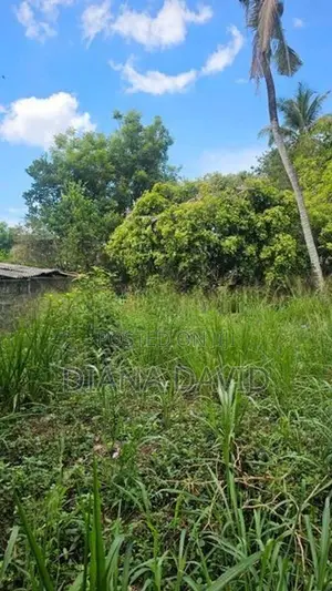 Prime Land for Sale Dehiwala