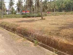 නාරම්මල පොල් වගාවන් සහිත බිම් කොටස් විකිණීමට