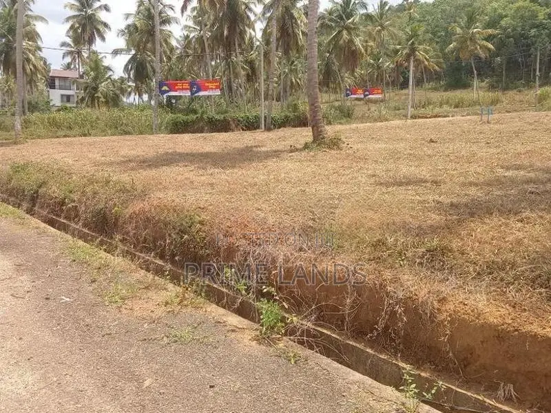 නාරම්මල පොල් වගාවන් සහිත බිම් කොටස් විකිණීමට