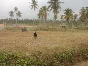 නාරම්මල පොල් වගාවන් සහිත බිම් කොටස් විකිණීමට
