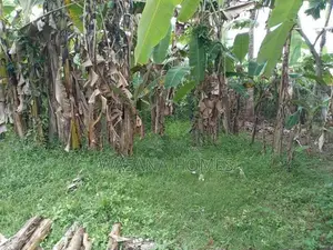 Prime Land for Sale Maharagama Town