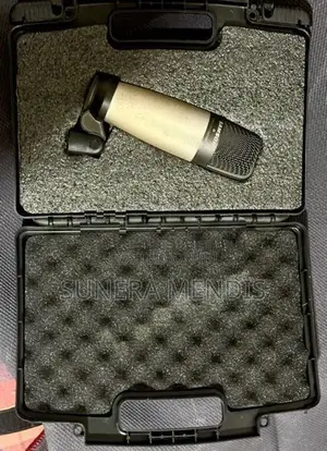 Samson C01 condenser mic