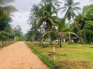 පොතුහැර ටවුමට සමීපයෙන් බිම් කොටස්