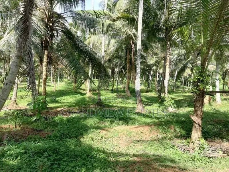 සරු-සාර පොල් ඉඩමක් ව්කිණීමට - රඹුක්කන