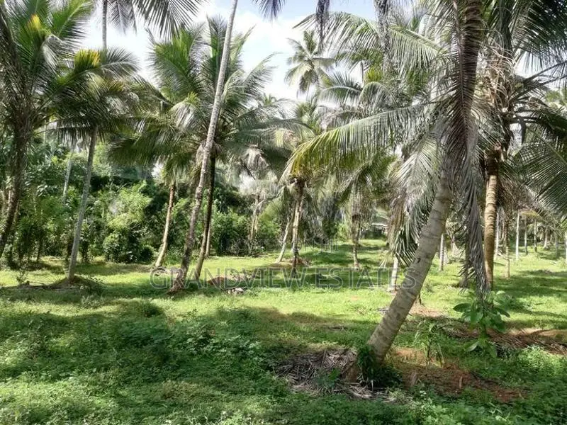 සරු-සාර පොල් ඉඩමක් ව්කිණීමට - රඹුක්කන