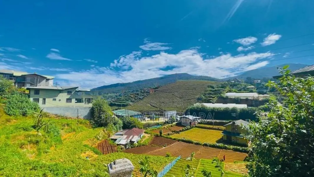 Cool Cottage Nuwara Eliya | Holiday Bungalow