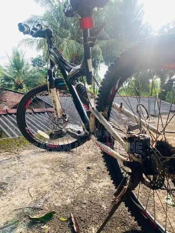 Lumala Black Edition Bicycle