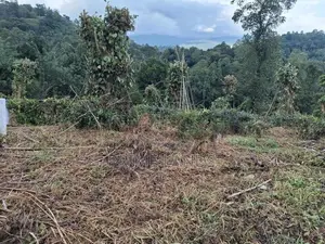 Land for Sale in Kandy Pilimatalawa