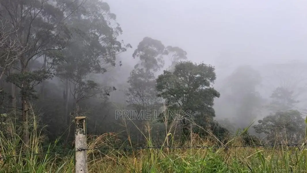 Valuable Land for Sale in Pussellawa