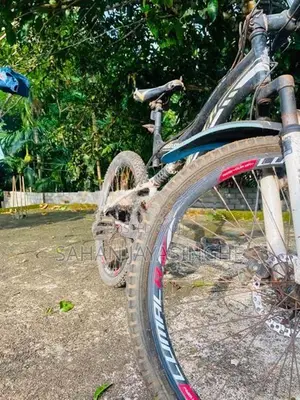 Lumala Black Edition Bicycle