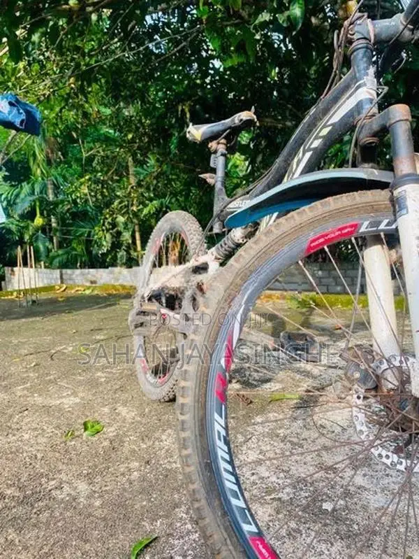 Lumala Black Edition Bicycle