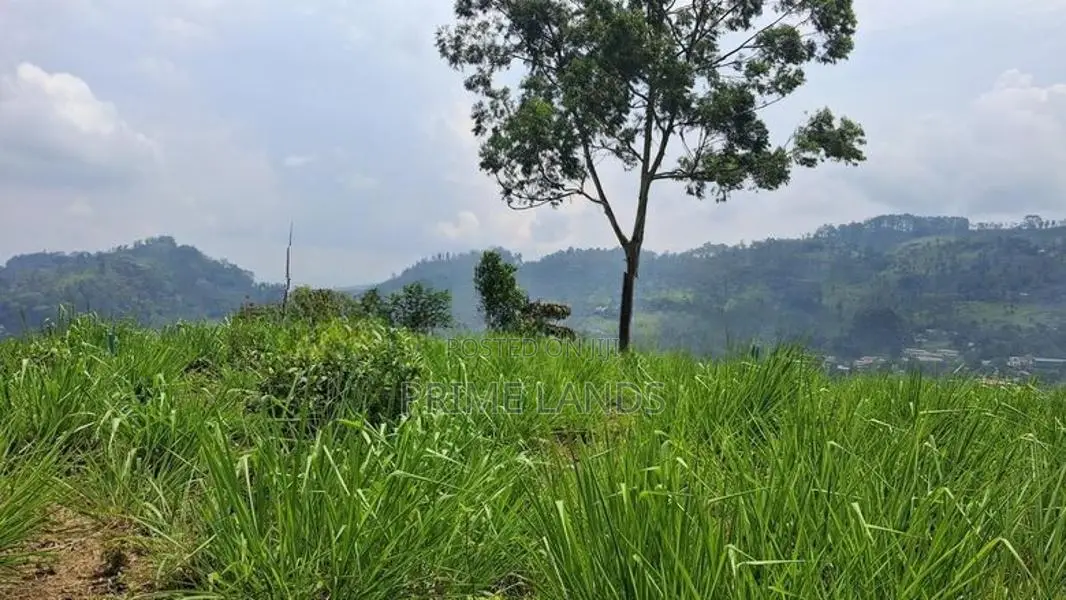 Valuable Land for Sale in Pussellawa