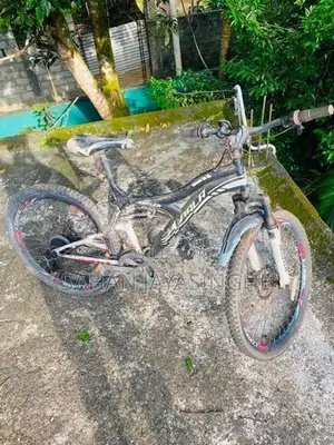 Lumala Black Edition Bicycle