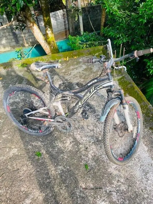 Lumala Black Edition Bicycle