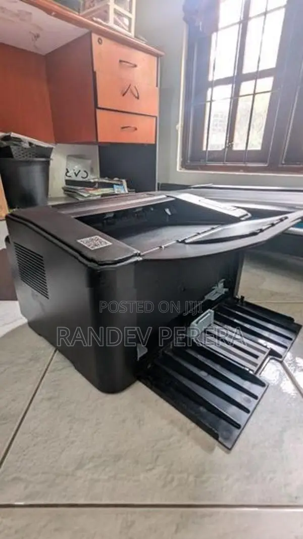 Pantum P2500 Laser Printer