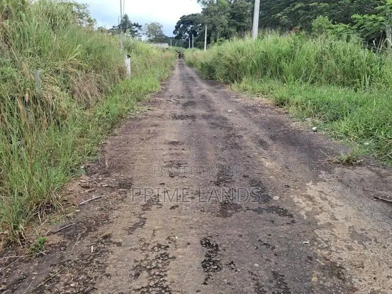 Land for Sale in Pussellawa