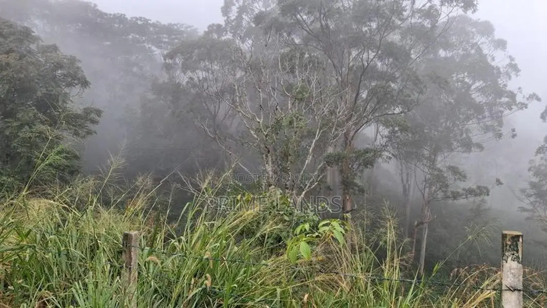 Valuable Land for Sale in Pussellawa
