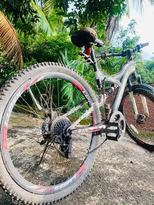 Lumala Black Edition Bicycle
