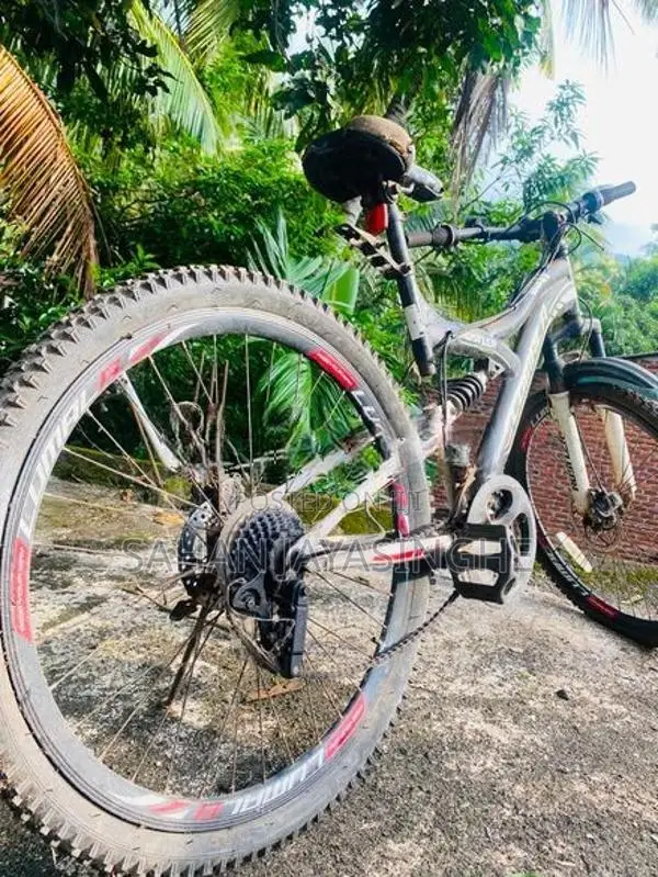 Lumala Black Edition Bicycle