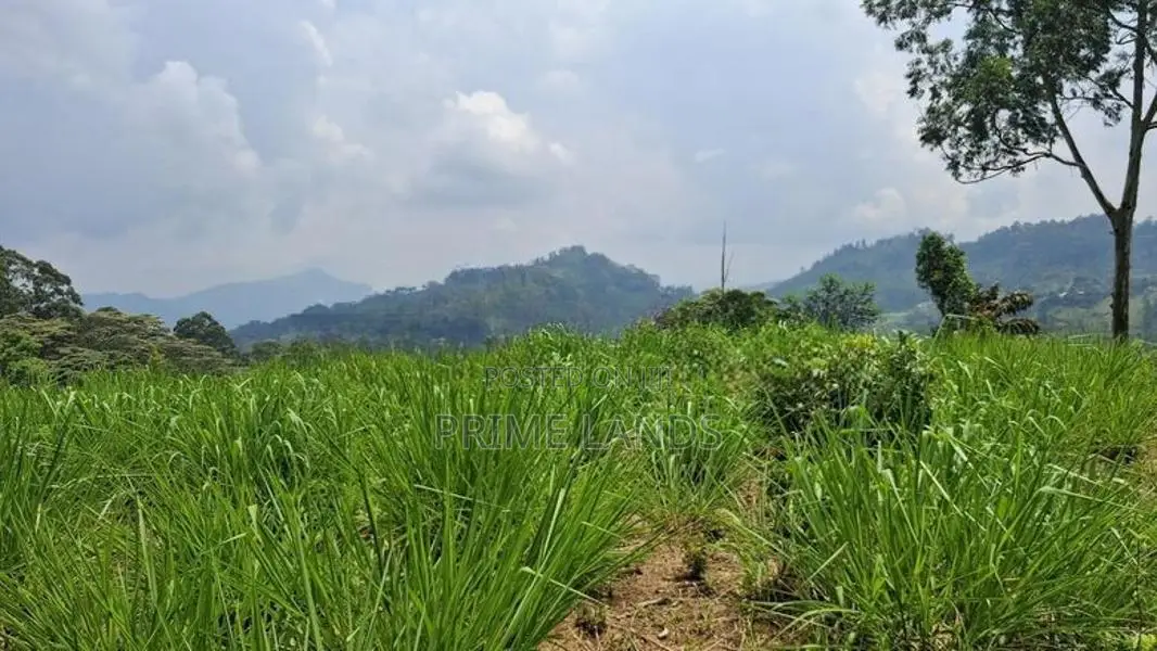 Land for Sale in Pussellawa